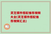 灵芝摆件搭配推荐视频大全(灵芝摆件搭配推荐视频汇总)