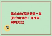 昆仑山偷灵芝是哪一集(昆仑山探秘：寻找失窃的灵芝)