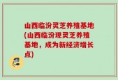 山西临汾灵芝养殖基地(山西临汾现灵芝养殖基地，成为新经济增长点)