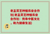 老孟灵芝种植农业合作社(老孟灵芝种植农业合作社：传承中医文化，助力健康生活)