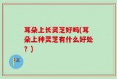 耳朵上长灵芝好吗(耳朵上种灵芝有什么好处？)
