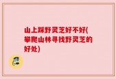 山上踩野灵芝好不好(攀爬山林寻找野灵芝的好处)