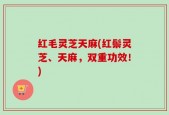红毛灵芝天麻(红鬃灵芝、天麻，双重功效！)