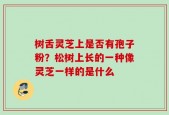 树舌灵芝上是否有孢子粉？松树上长的一种像灵芝一样的是什么