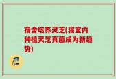 宿舍培养灵芝(寝室内种植灵芝真菌成为新趋势)