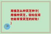 用桶怎么种灵芝种子(用桶种灵芝，轻松在家也能享受灵芝的好处！)