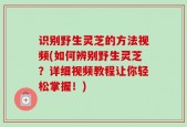 识别野生灵芝的方法视频(如何辨别野生灵芝？详细视频教程让你轻松掌握！)