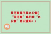 灵芝蟹是不是九公蟹(“灵芝蟹”真的比“九公蟹”更沉重吗？)