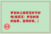 梦见树上摘灵芝好不好呀(摘灵芝：梦见树顶的仙草，吉祥好兆。)