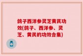 鸽子西洋参灵芝黄芪功效(鸽子、西洋参、灵芝、黄芪的功效合集)
