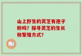山上野生的灵芝有孢子粉吗？探寻灵芝的生长和繁殖方式？