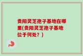 贵阳灵芝孢子基地在哪里(贵阳灵芝孢子基地位于何处？)