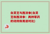 白灵芝与西洋参(白灵芝和西洋参：两种草药的功效和用途对比)