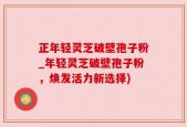 正年轻灵芝破壁孢子粉_年轻灵芝破壁孢子粉，焕发活力新选择)