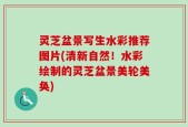 灵芝盆景写生水彩推荐图片(清新自然！水彩绘制的灵芝盆景美轮美奂)