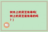树木上的灵芝有毒吗(树上的灵芝是有毒的吗？)