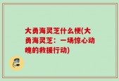 大勇海灵芝什么梗(大勇海灵芝：一场惊心动魄的救援行动)