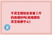 干灵芝摆放在家里歺厅的南墙好吗(南墙摆放灵芝增康宁心)