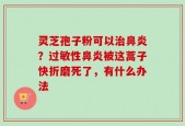 灵芝孢子粉可以治鼻炎？过敏性鼻炎被这蒿子快折磨死了，有什么办法