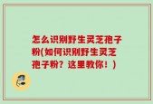 怎么识别野生灵芝孢子粉(如何识别野生灵芝孢子粉？这里教你！)