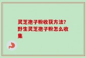 灵芝孢子粉收获方法？野生灵芝孢子粉怎么收集