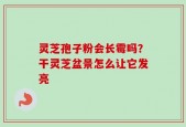 灵芝孢子粉会长霉吗？干灵芝盆景怎么让它发亮