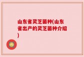 山东省灵芝菌种(山东省出产的灵芝菌种介绍)