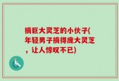 摘巨大灵芝的小伙子(年轻男子摘得庞大灵芝，让人惊叹不已)