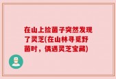 在山上捡菌子突然发现了灵芝(在山林寻觅野菌时，偶遇灵芝宝藏)