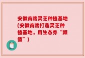 安徽南陵灵芝种植基地(安徽南陵打造灵芝种植基地，用生态养“颜值”)