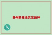 贵州黔兆缘灵芝菌种
