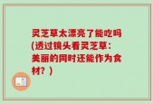 灵芝草太漂亮了能吃吗(透过镜头看灵芝草：美丽的同时还能作为食材？)