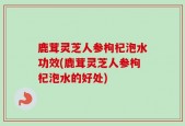 鹿茸灵芝人参枸杞泡水功效(鹿茸灵芝人参枸杞泡水的好处)