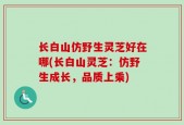 长白山仿野生灵芝好在哪(长白山灵芝：仿野生成长，品质上乘)