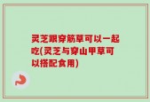 灵芝跟穿筋草可以一起吃(灵芝与穿山甲草可以搭配食用)