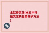 水缸养灵芝(水缸中种植灵芝的盆景养护方法)