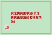 灵芝黄芪虫草汤(灵芝黄芪虫草汤的名称及功效)