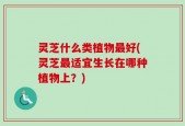 灵芝什么类植物最好(灵芝最适宜生长在哪种植物上？)