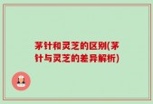 茅针和灵芝的区别(茅针与灵芝的差异解析)
