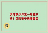 灵芝多少斤出一斤孢子粉？正宗孢子粉哪里买