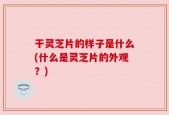 干灵芝片的样子是什么(什么是灵芝片的外观？)