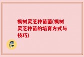 枫树灵芝种苗菌(枫树灵芝种苗的培育方式与技巧)