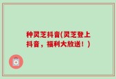 种灵芝抖音(灵芝登上抖音，福利大放送！)
