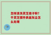 怎样清洗灵芝孢子粉？干灵芝摆件表面灰尘怎么处理