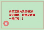 白灵芝图片及价格(白灵芝图片、价格及功效一网打尽！)