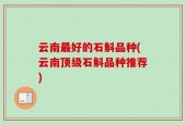云南最好的石斛品种(云南顶级石斛品种推荐)