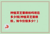 种植灵芝要缴税吗现在多少钱(种植灵芝需缴税，如今价格多少？)