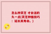 怎么种灵芝 才会活的久一点(灵芝种植技巧：延长其寿命。)