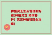 种植灵芝怎么管理的好些(种植灵芝 如何养护？灵芝种植管理全攻略)