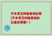 宁乡灵芝种植基地在哪(宁乡灵芝种植基地的位置在哪里？)